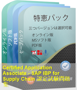 C_IBP_2208 問題集