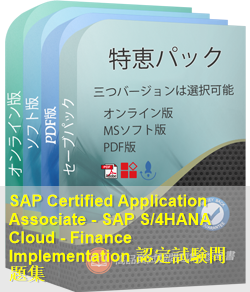 C_S4CFI_2011 問題集