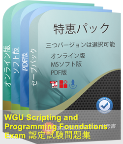 Scripting-and-Programming-Foundations 問題集